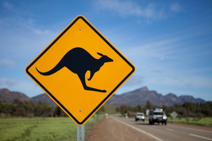 kangaroo-road-sign-australia